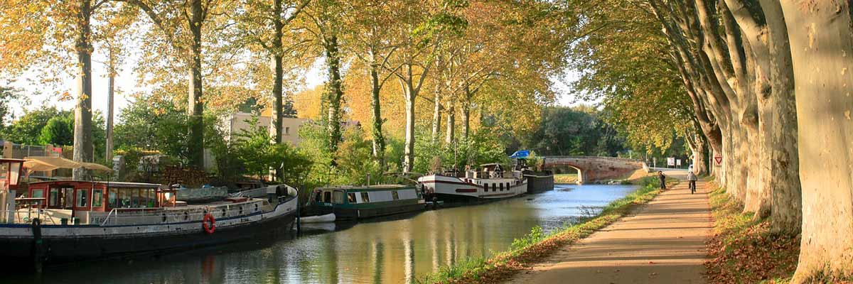 Camino de Toulouse en un parque