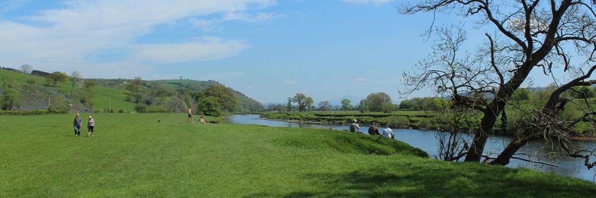 A beautiful green meadow at River Lune, close to Lancaster. 