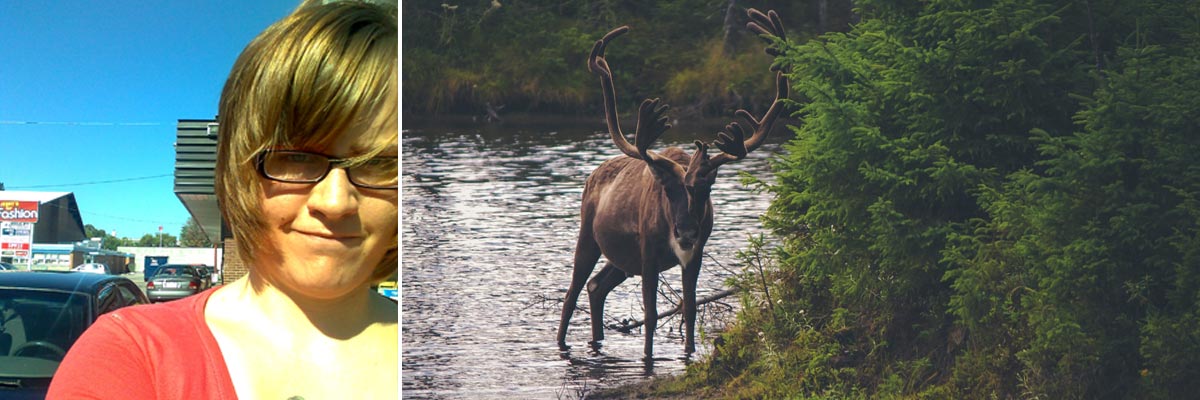 Silvanna in Kanada und ein Elch an einem Fluss