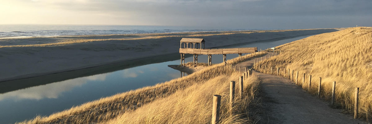 Holzpfosten an einem Weg am Meer unter blauem Himmel