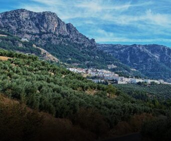 View of Valencia