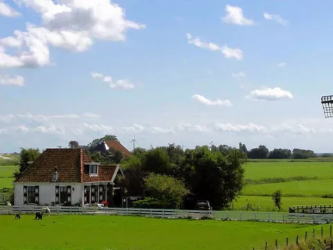 Windmolen en plattelandshuisje in Nederland met zeer groen gras
