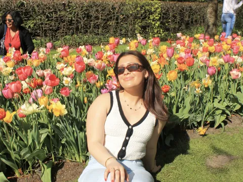 Tulips in spring