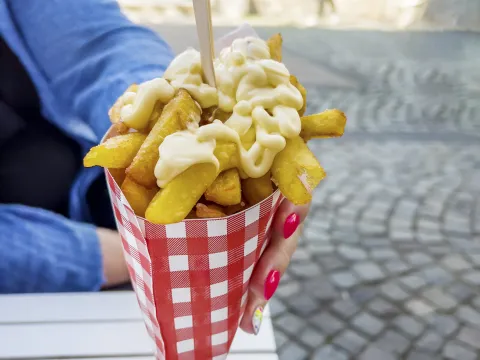 Fries in the Netherlands