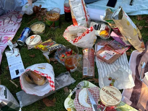 Picnic in the park