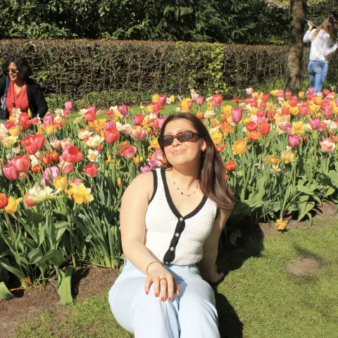 Tulips in spring